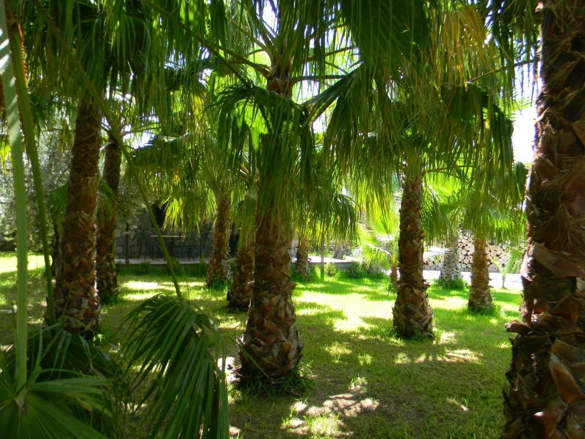 Agriturismo Gianferrante Paterno  Bagian luar foto